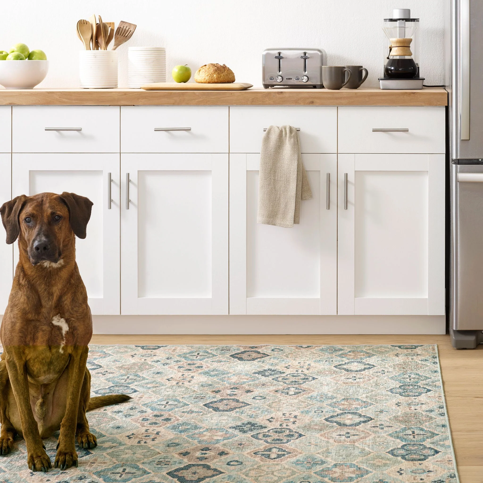 Pali Blue Machine Washable Rug - Image 2