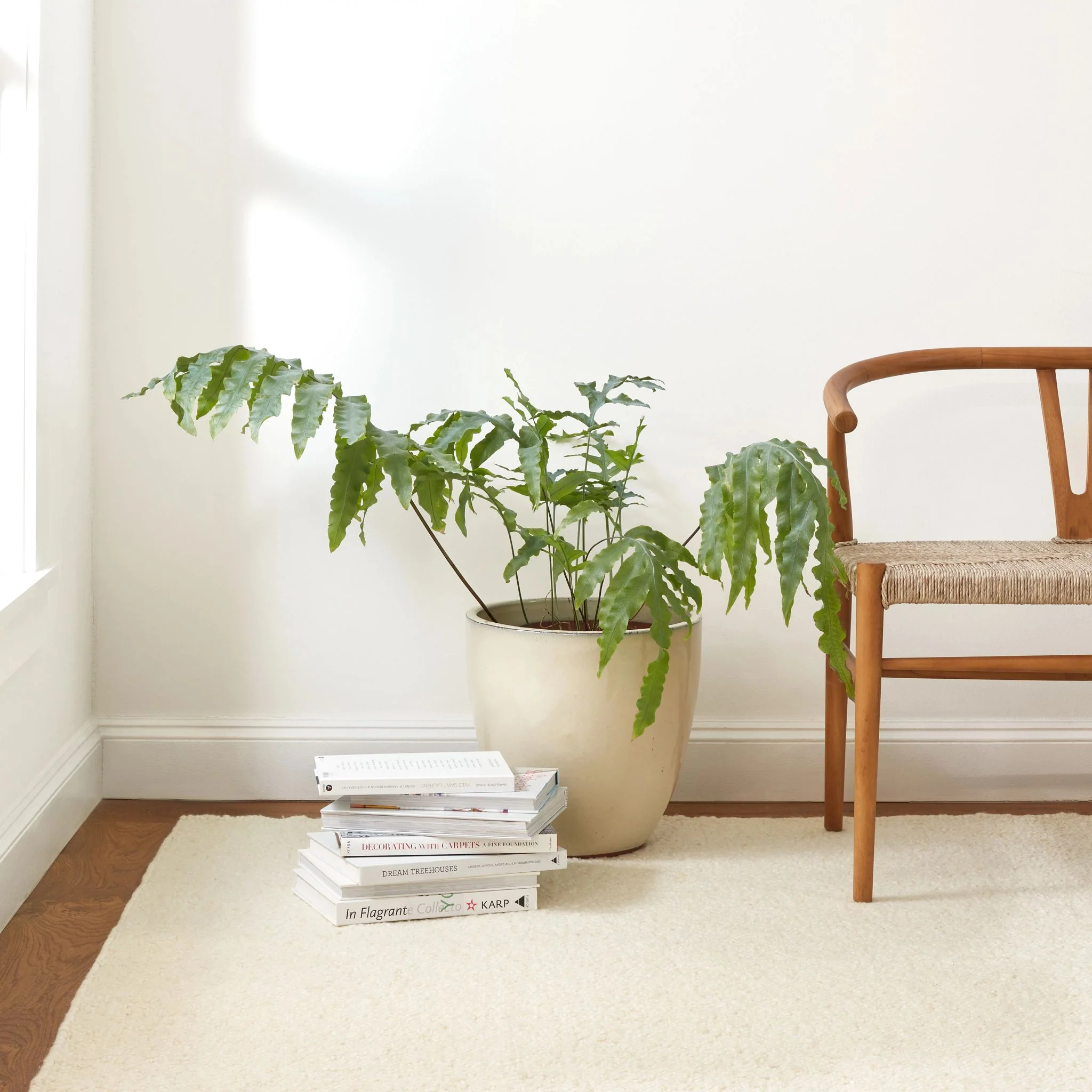 Holmstead Ivory Handwoven Wool Rug - Image 2