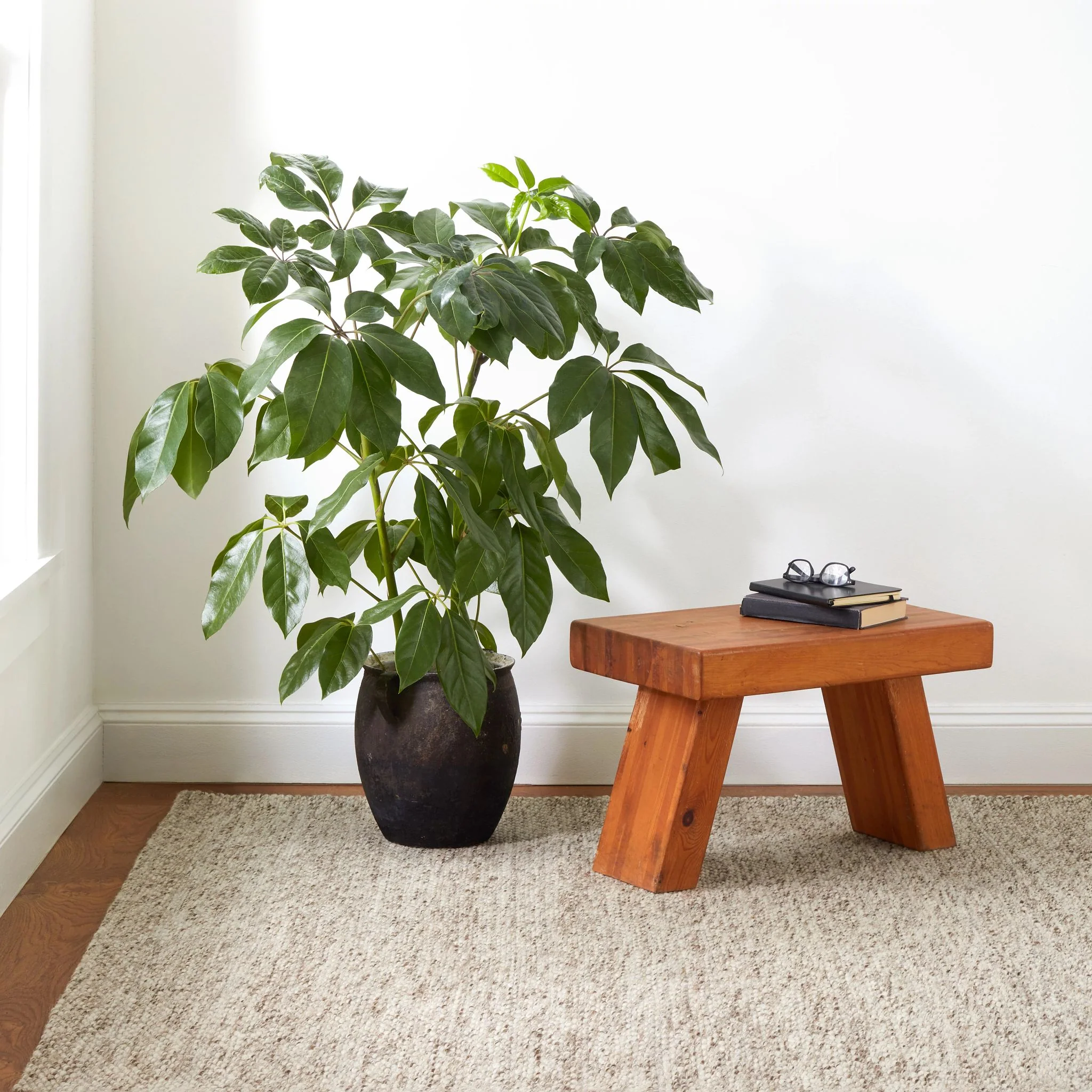 Loggia Natural Handwoven Wool Rug - Image 2