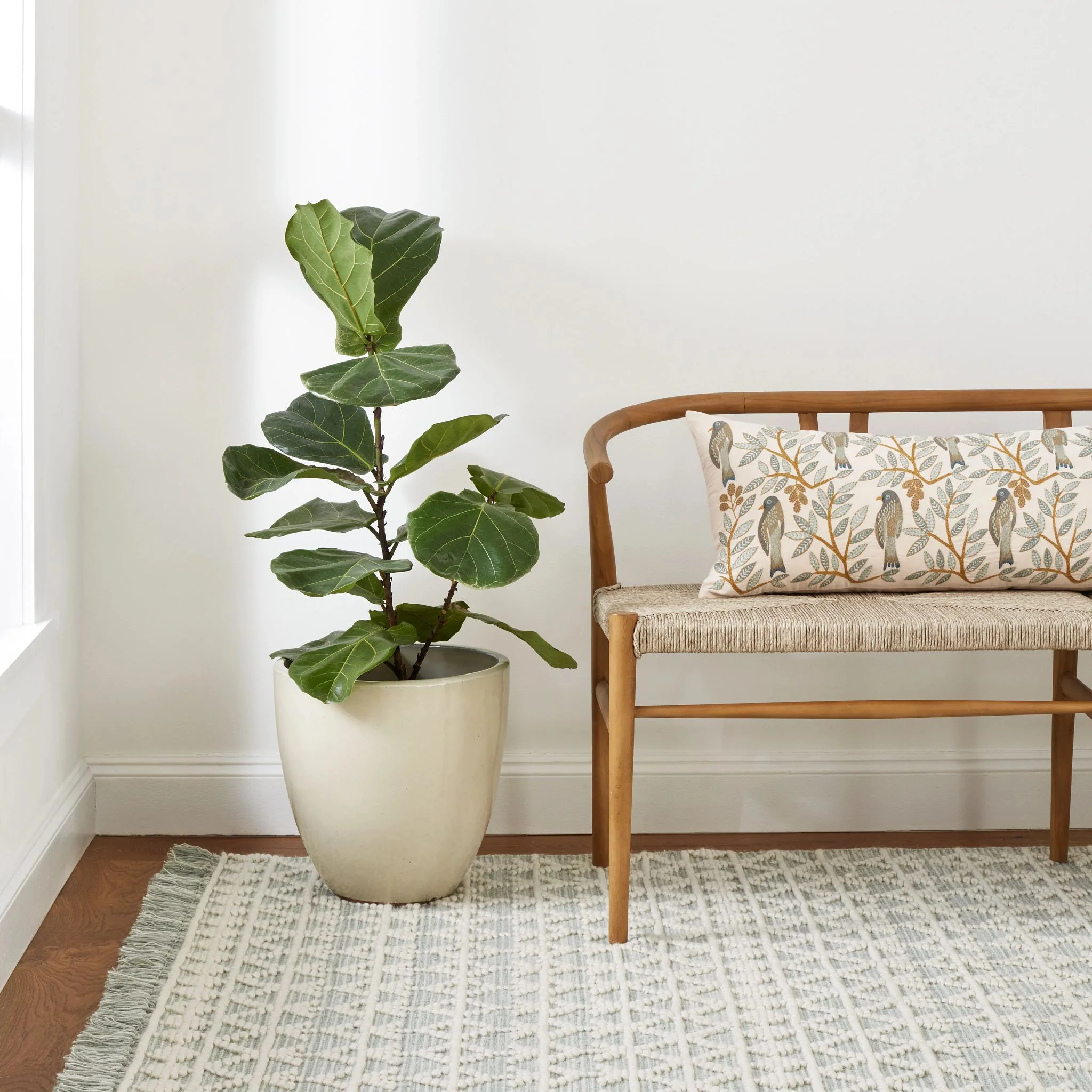 Pembrook Desert Sage Handwoven Wool Rug - Image 2
