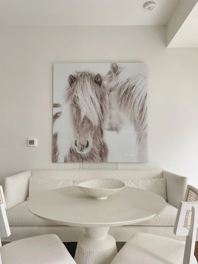 Ponies of Iceland - Image 3