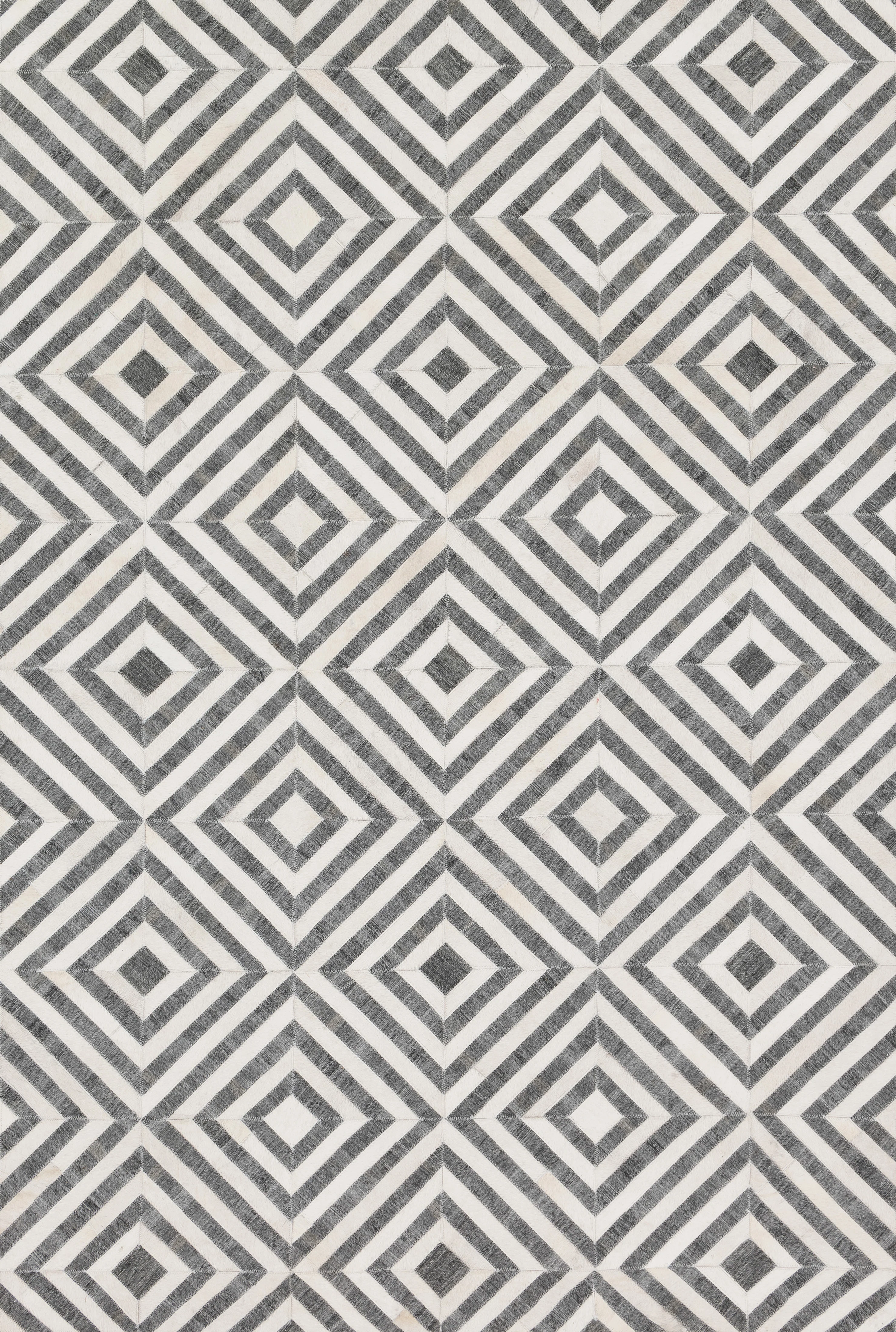 Dorado Charcoal / Ivory Rug