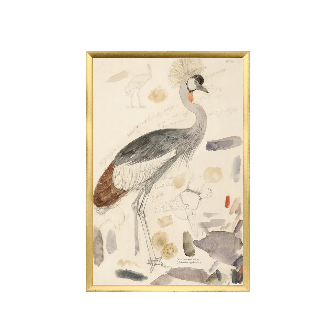 Edward Lear, Crane - Image 1
