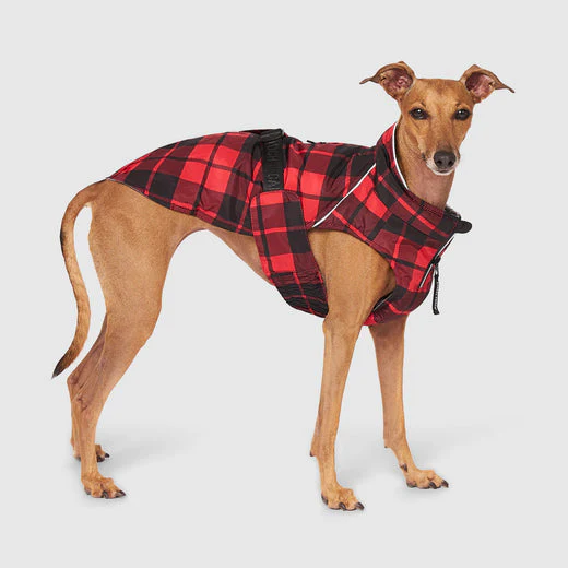 Canada Pooch Red Plaid Expedition Coat Size 20 - Image 1