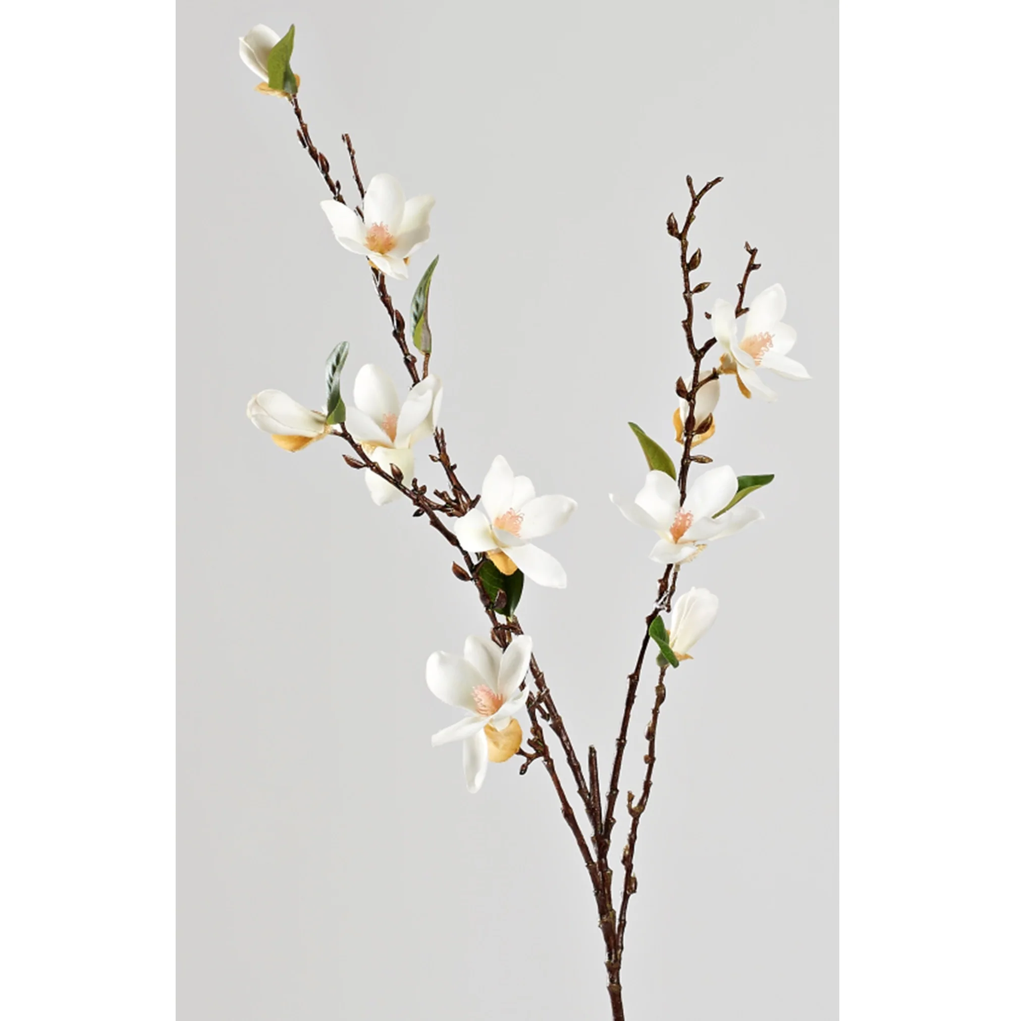 D&W Silks White Magnolia Stem – FL2556