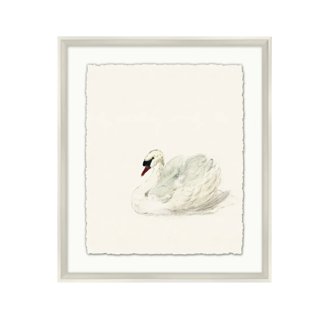 Suzanne Swan - Image 1
