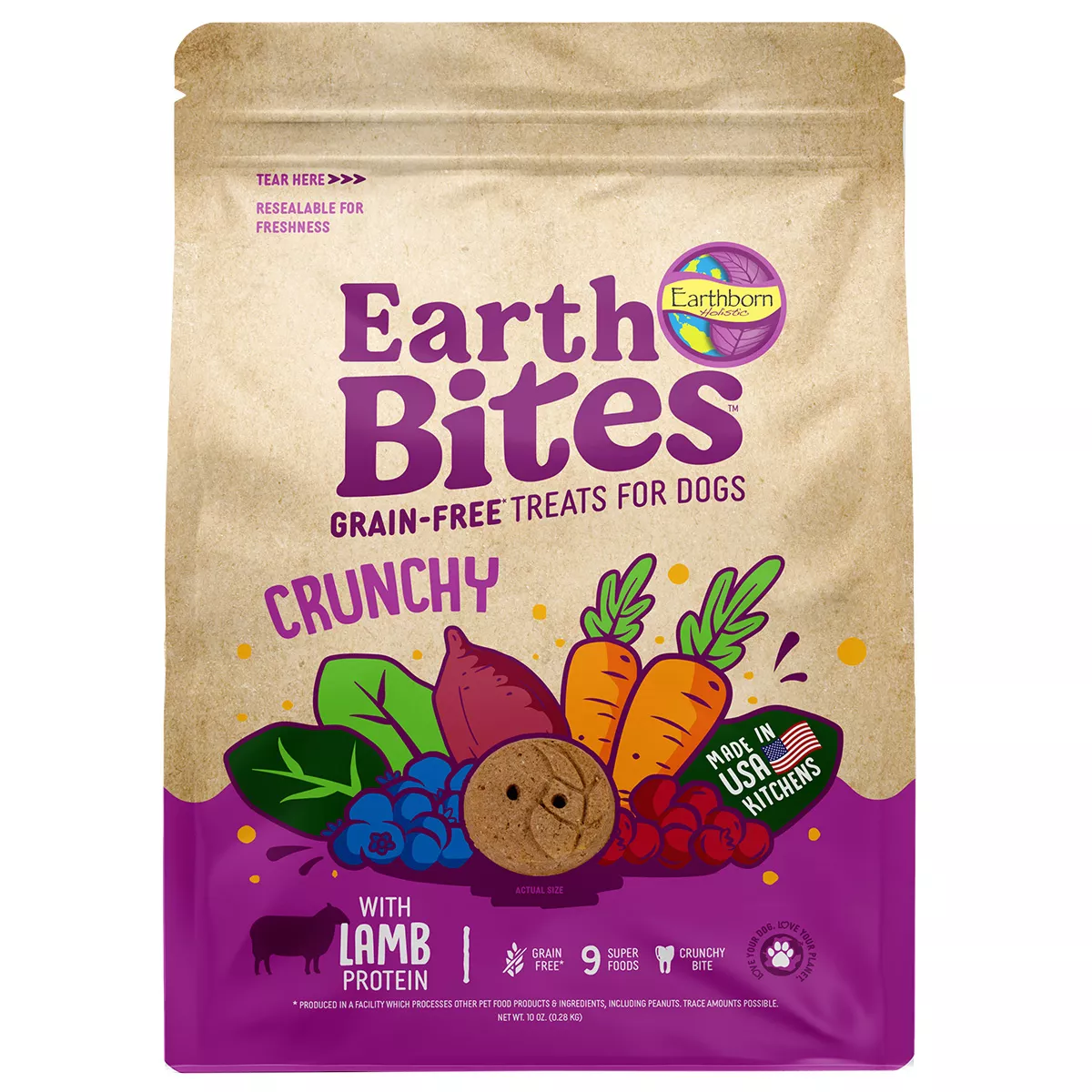Earthborn Holistic EarthBars Lamb & Pumpkin Grain-Free Crunchy Dog Treats 10oz - Image 1