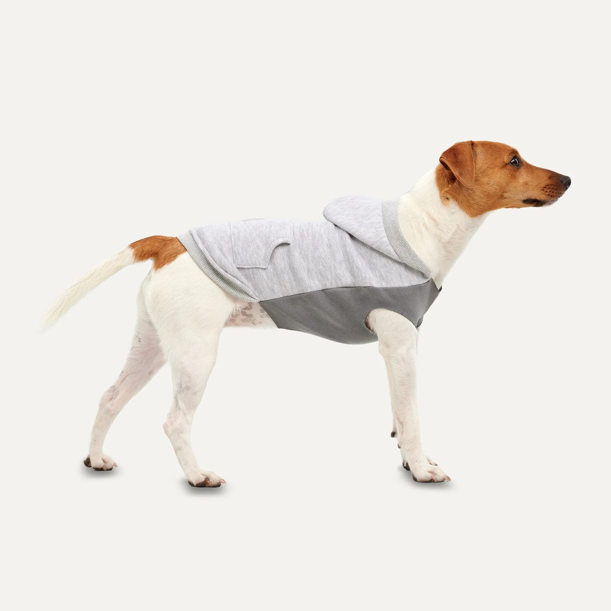 Gooeez Kangaroos Fleece Hoodie for Dogs Grey Medium - Image 1