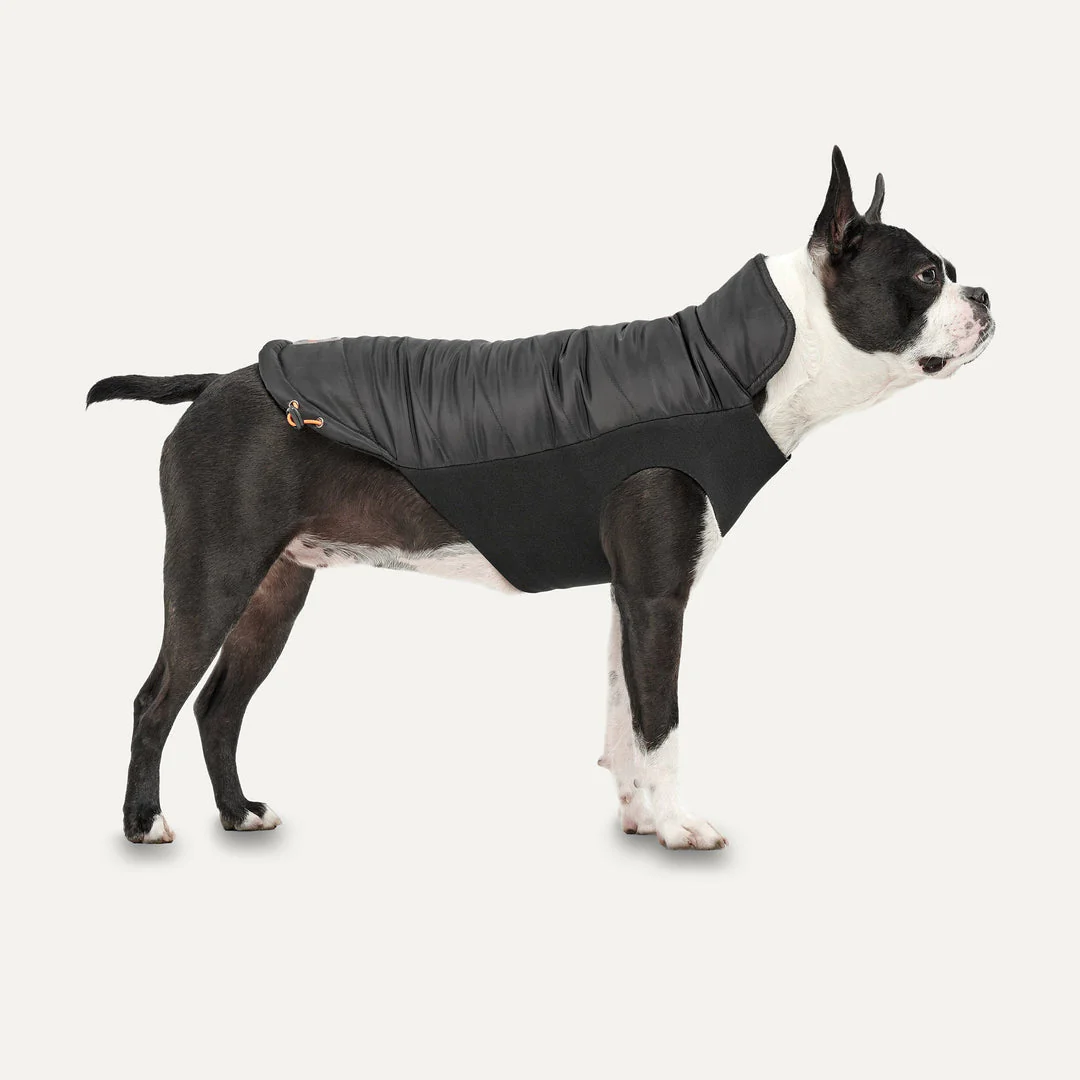 Gooeez Kangaroos Signature Mock Neck Jacket for Dogs Black XX Large - Image 1