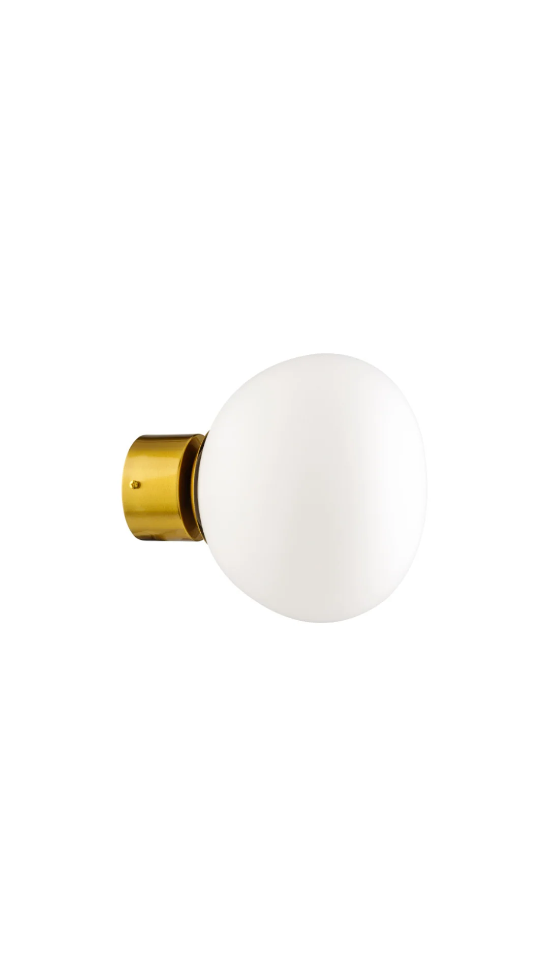Theo Globe Sconce - Image 1