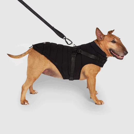 Canada Pooch Black Harness Puffer Coat Size 14 - Image 1