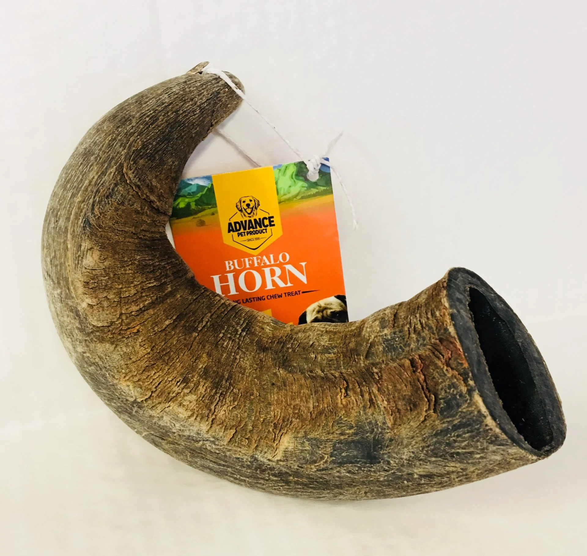 Advance Pet Product Buffalo Horn, Medium - Image 1