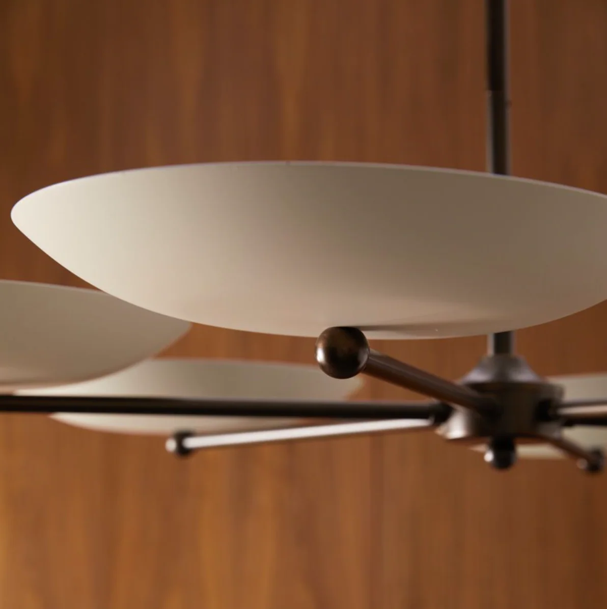 Griffith Bone Chandelier - Image 3