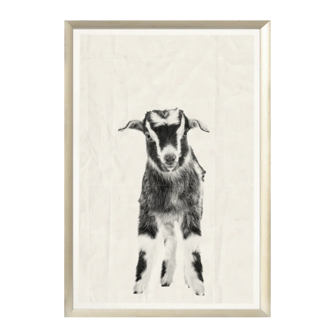 Little Norman - Image 1