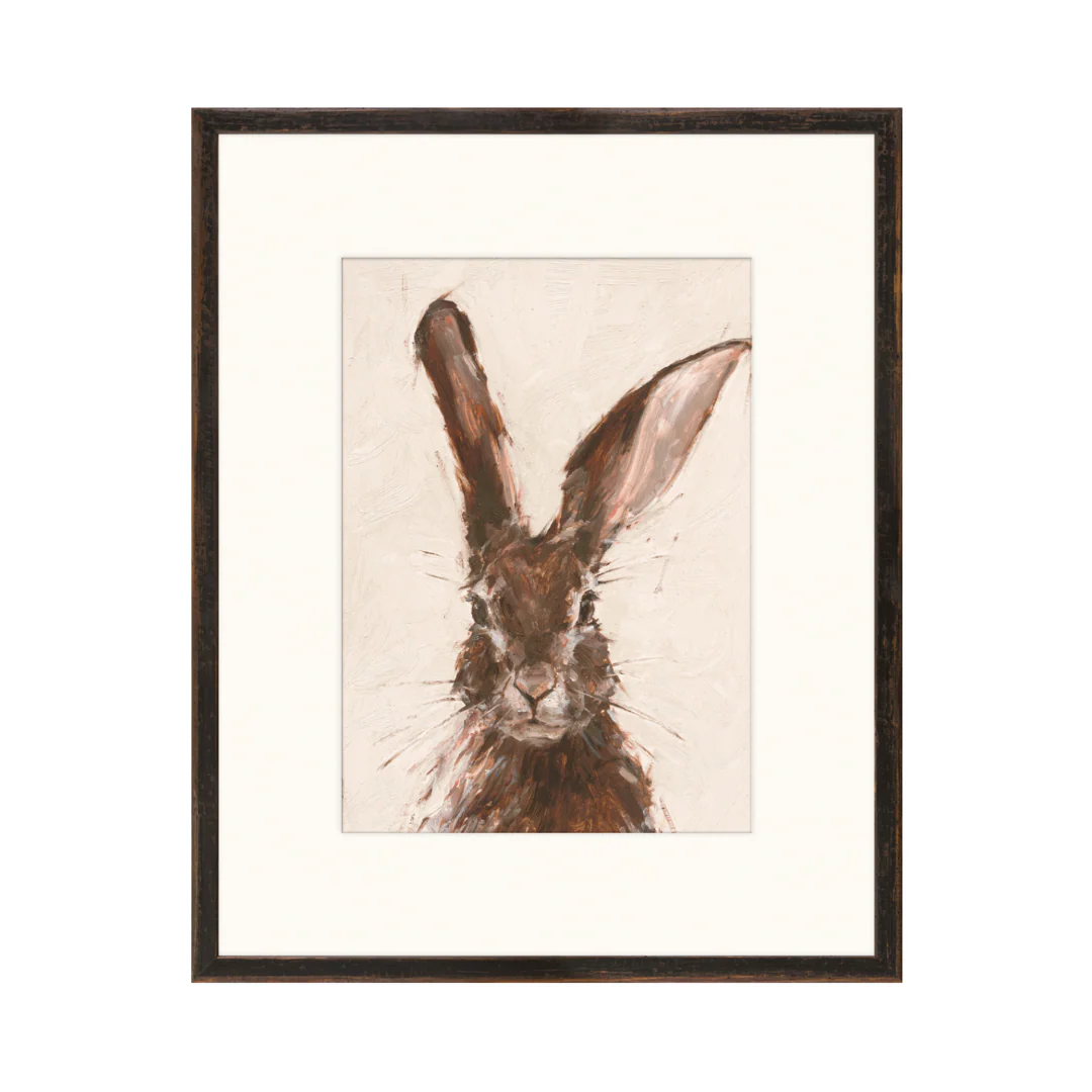 Brown Bunny