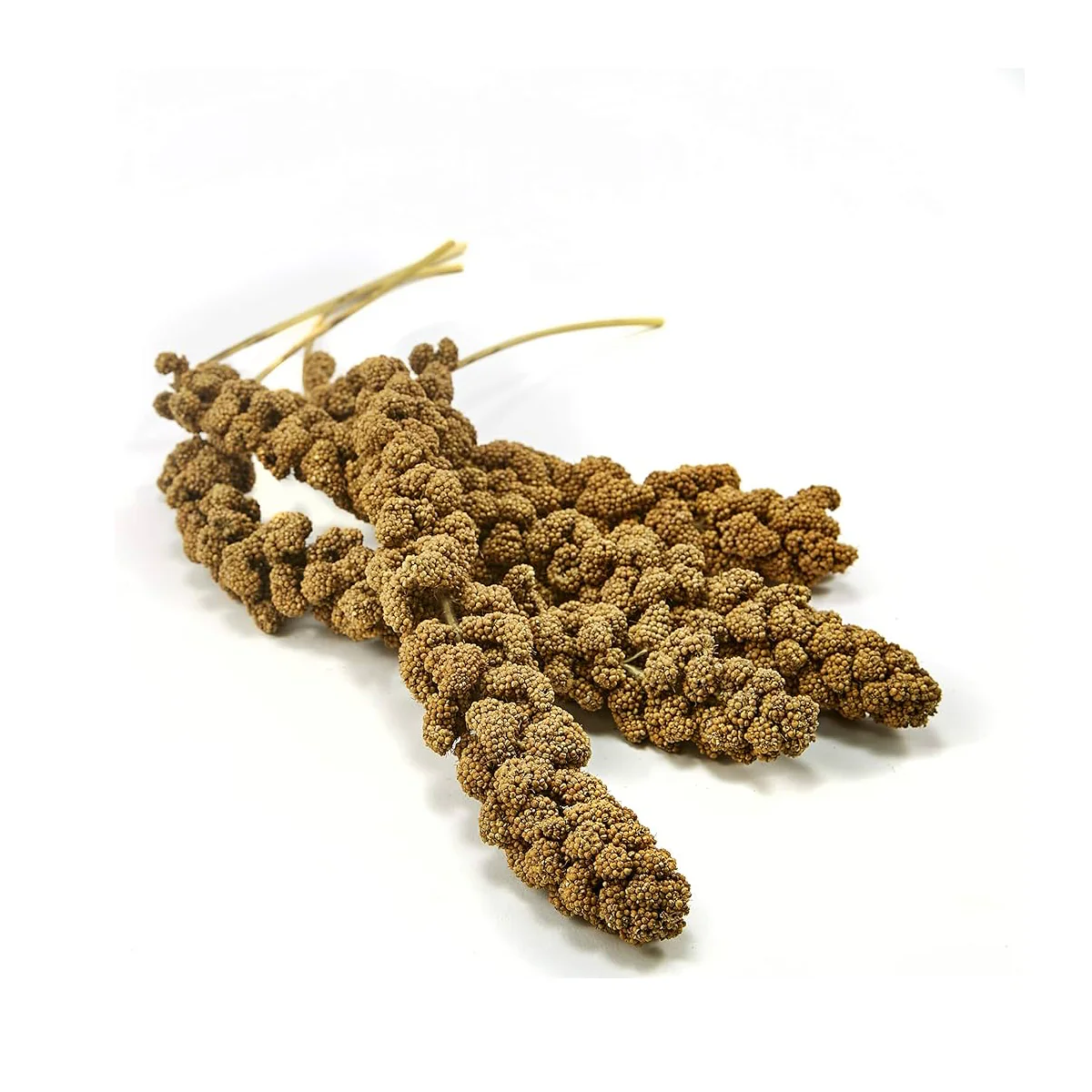 Kaytee Natural Spray Millet, 1pc - Image 1