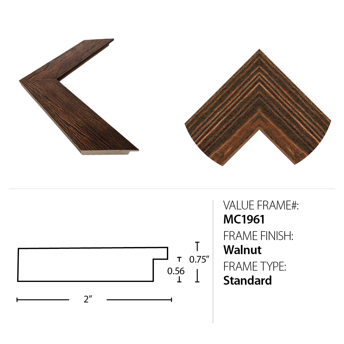 Show Horse Sketch - Image 2