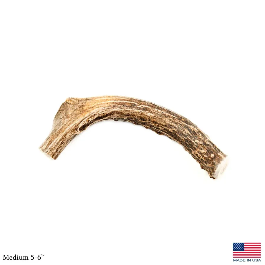 Silvergate Antler Dog Chew Whole Deer Medium - Image 1