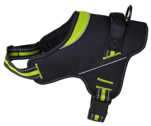 Doggy Tales Hart Harness Lime 40in - Image 1