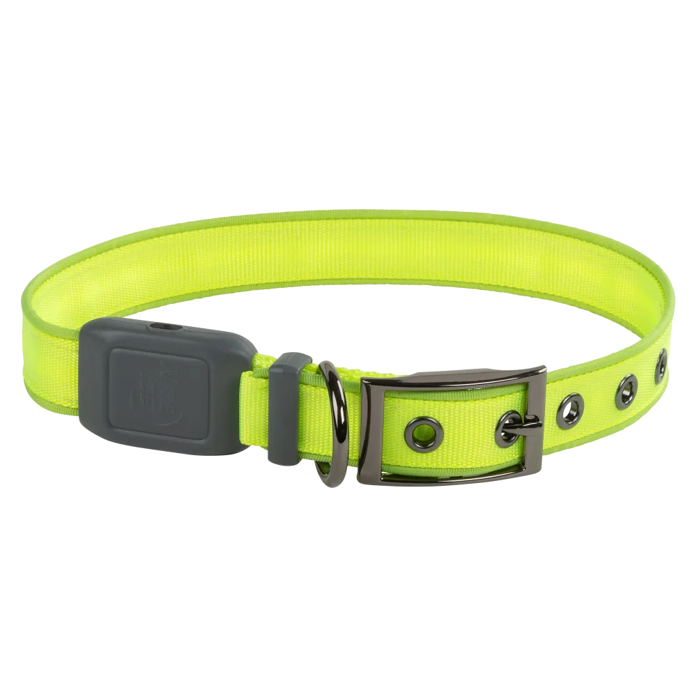 Nite Ize Nite Dog Rechargeable LED Dog Collar, Lime Green, Medium - Image 1