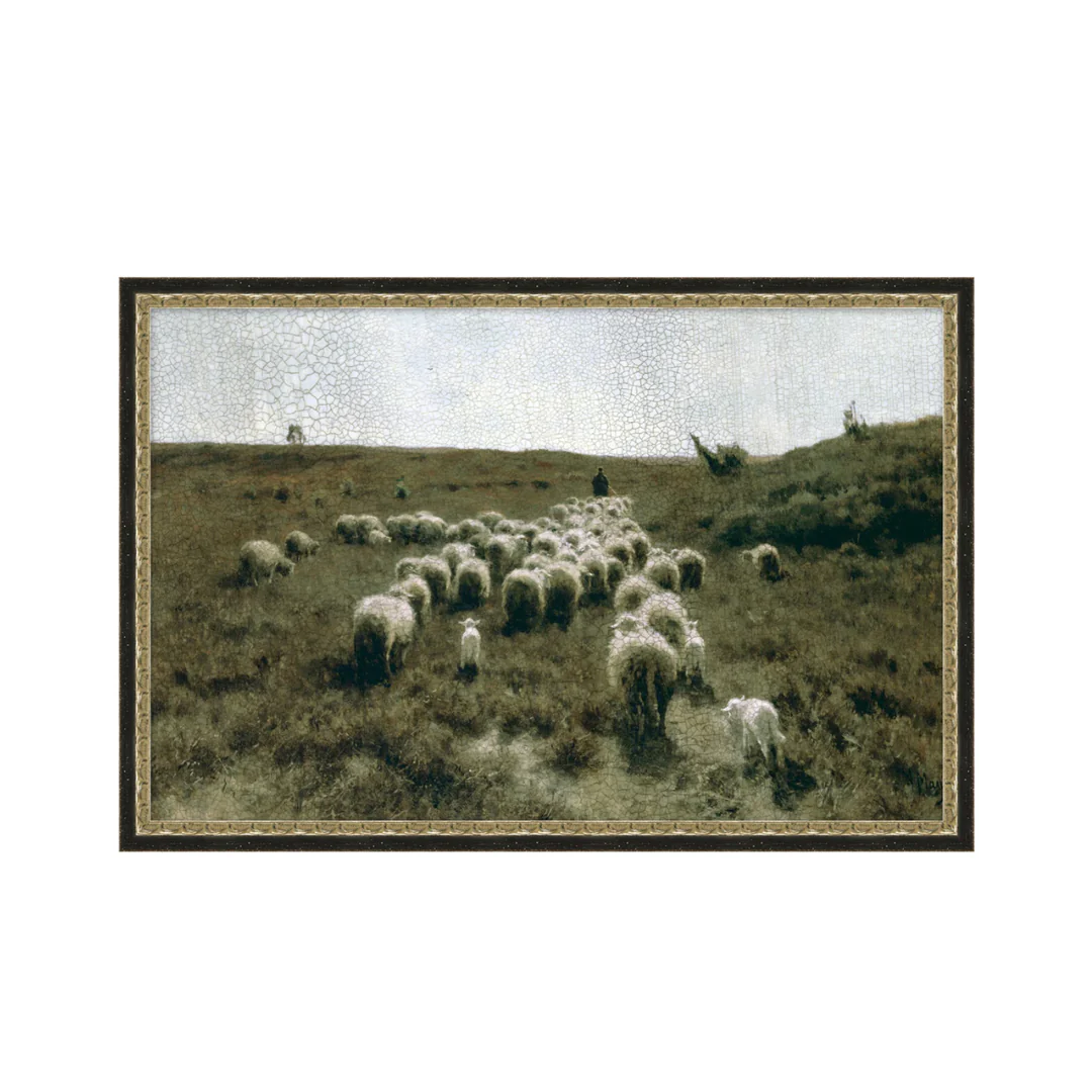 Countryside Flock - Image 1