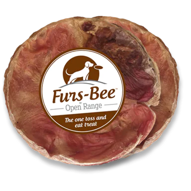 Open Range Furs-Bee Toss and Eat Dog Treat - Image 1