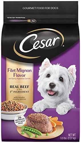 Health Extension Grain Free Salmon Recipe Dry Dog Food, 4-pounds - Image 1