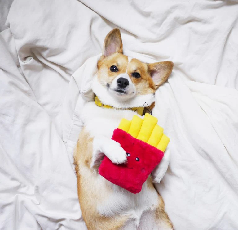 Zippy Paws 817027 Nomnomz Fries Dog Toy - Image 1