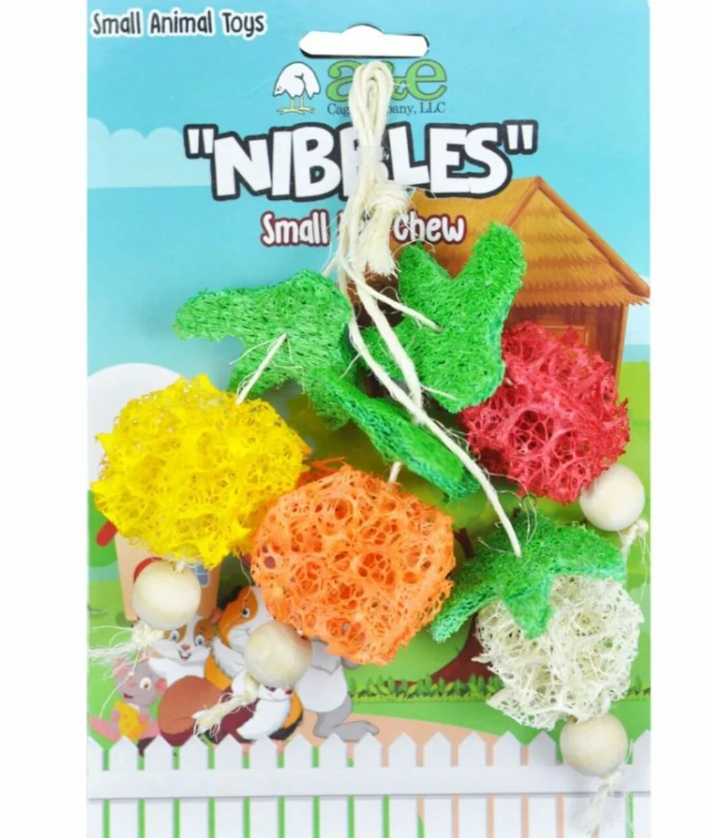 A&E Cage Co Nibbles Fruit Bunch Loofah Chew Toy - Image 1