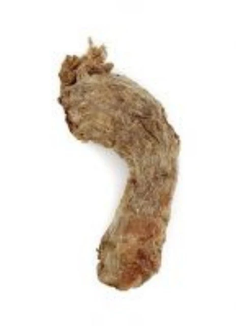 Vital Essentials Raw Bar Freeze Dried Chicken Neck - Image 1