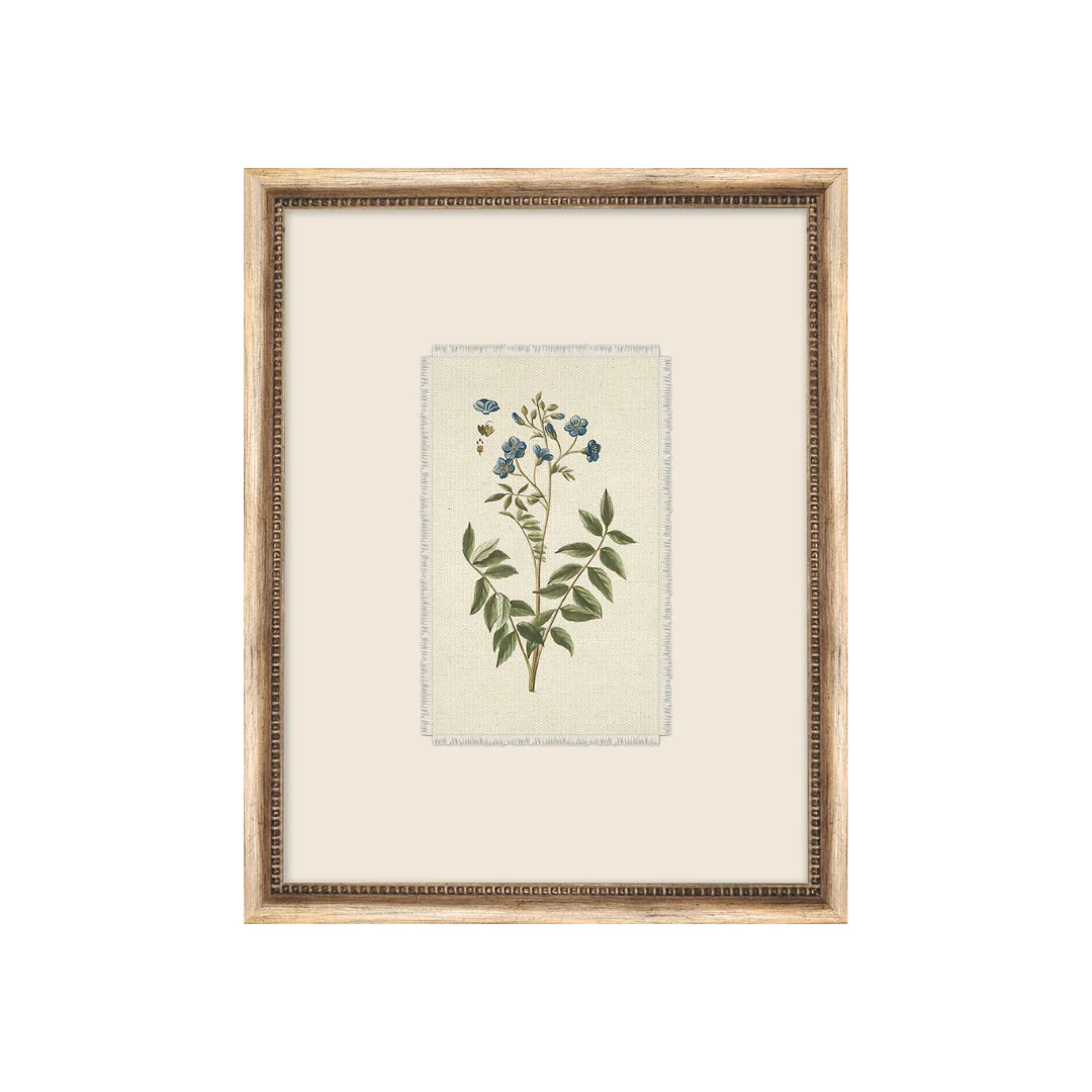 Petite Floral II - Image 1