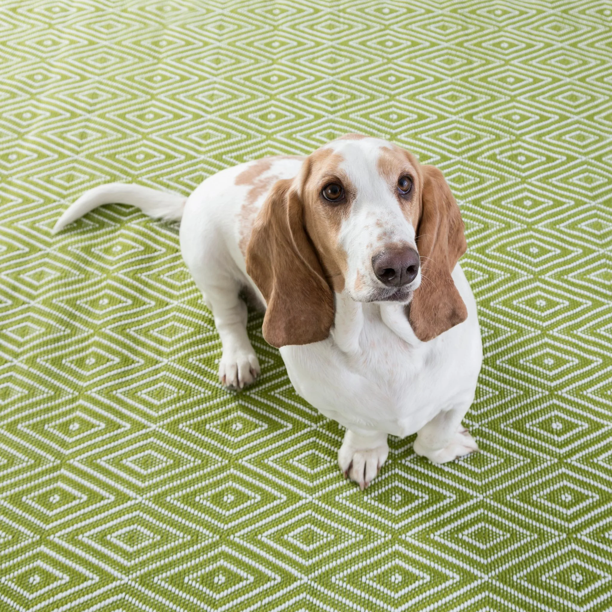 Diamond Sprout/White Handwoven Indoor/Outdoor Rug - Image 2
