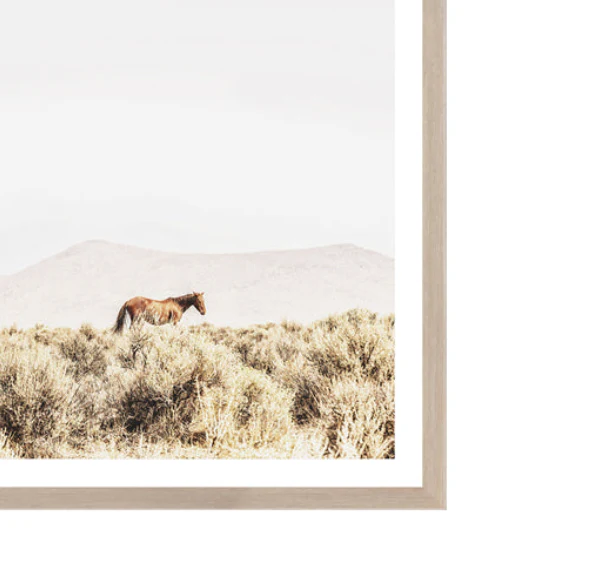 Sage Ridge Horses - Image 2