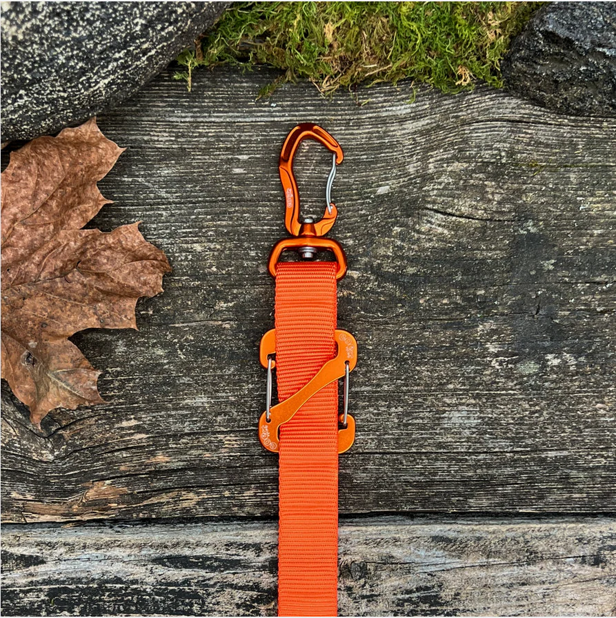Canine Outdoor Crosswalk Clip Hands Free 10ft Dog Leash Orange - Image 1