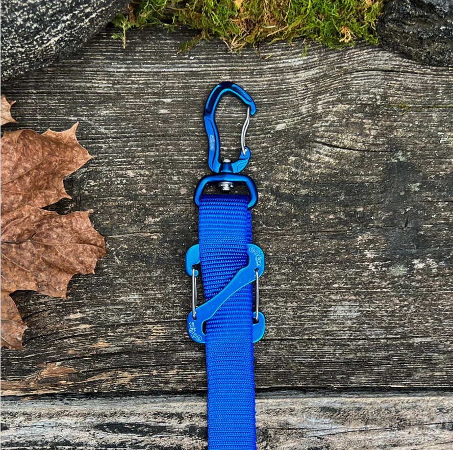 Canine Outdoor Crosswalk Clip Hands Free 10ft Dog Leash Blue - Image 1