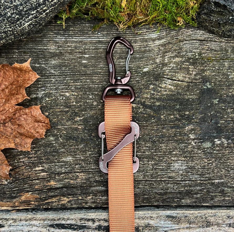 Canine Outdoor Crosswalk Clip Hands Free 10ft Dog Leash Brown - Image 1