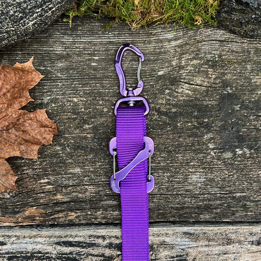 Canine Outdoor Crosswalk Clip Hands Free 10ft Dog Leash Purple - Image 1
