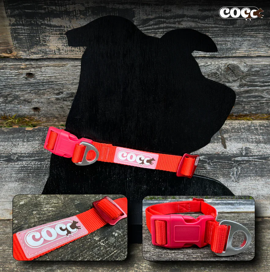 Canine Outdoor Adjustable Dog Collar Red - Image 1