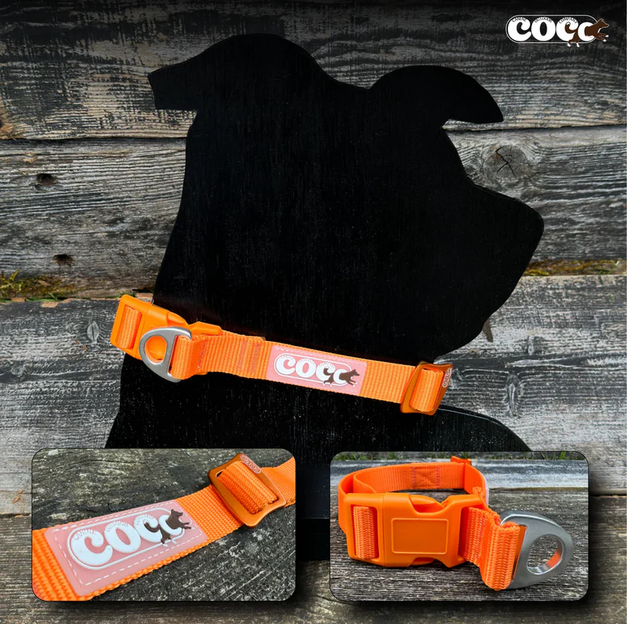 Canine Outdoor Adjustable Dog Collar Orange - Image 1