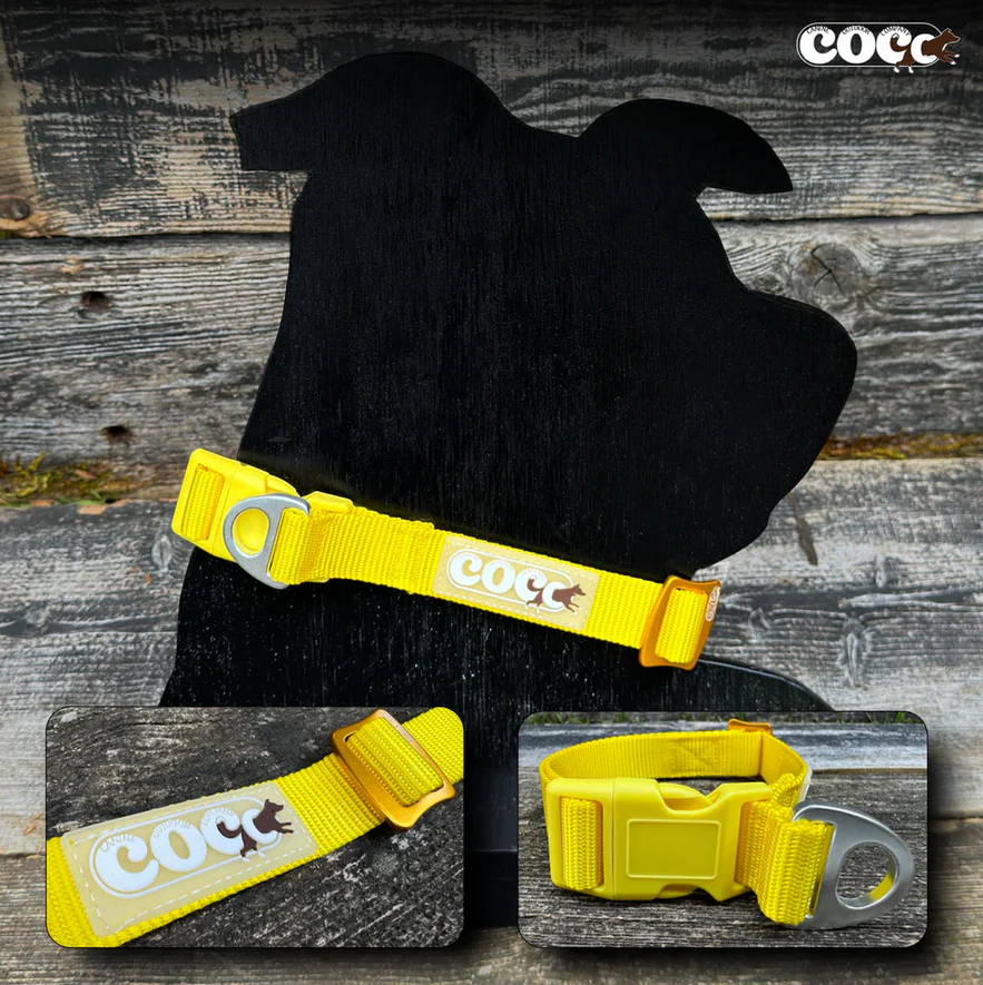 Canine Outdoor Adjustable Dog Collar Yellow - Image 1
