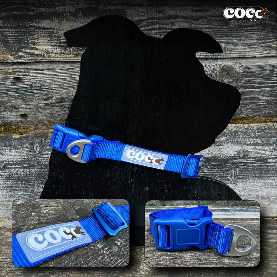 Canine Outdoor Adjustable Dog Collar Blue - Image 1