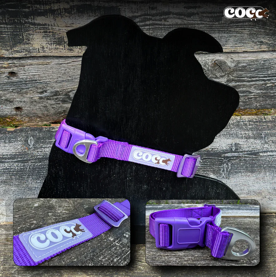 Canine Outdoor Adjustable Dog Collar Purple - Image 1