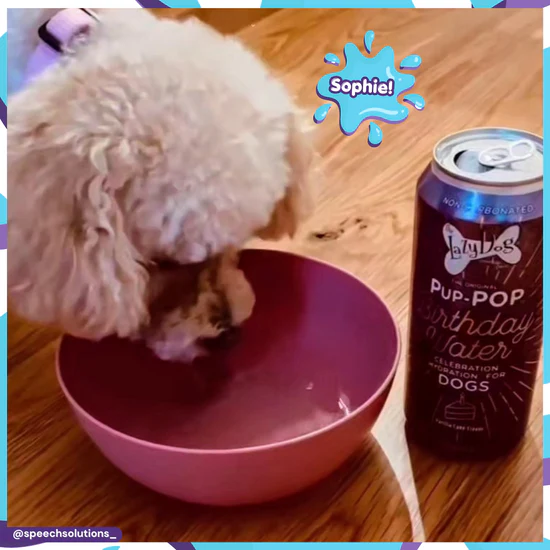 Lazy Dog Pup-POP® Birthday Water Vanilla Cake Flavor 15.5oz - Image 1