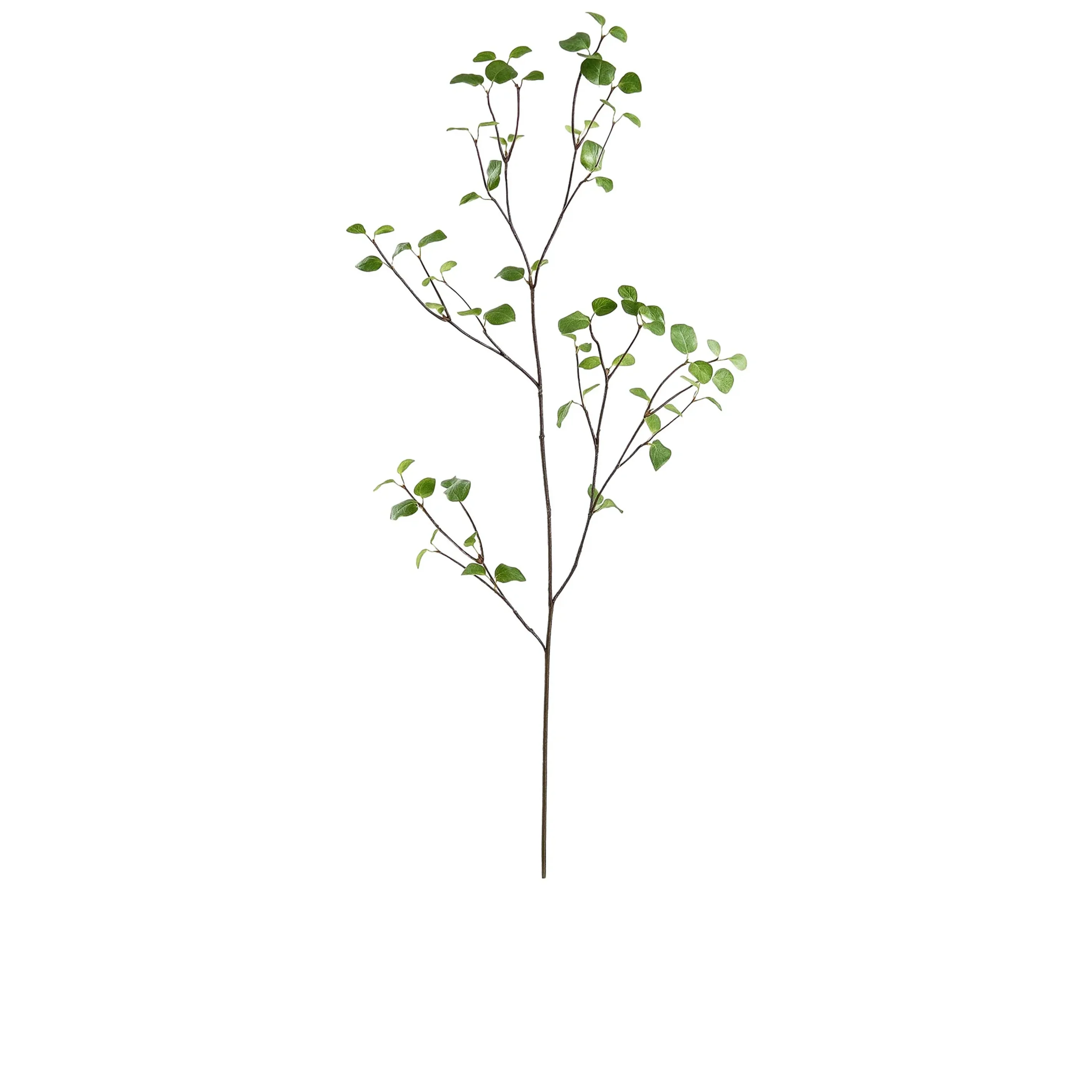 61" Bay Leaf Spray - Image 2