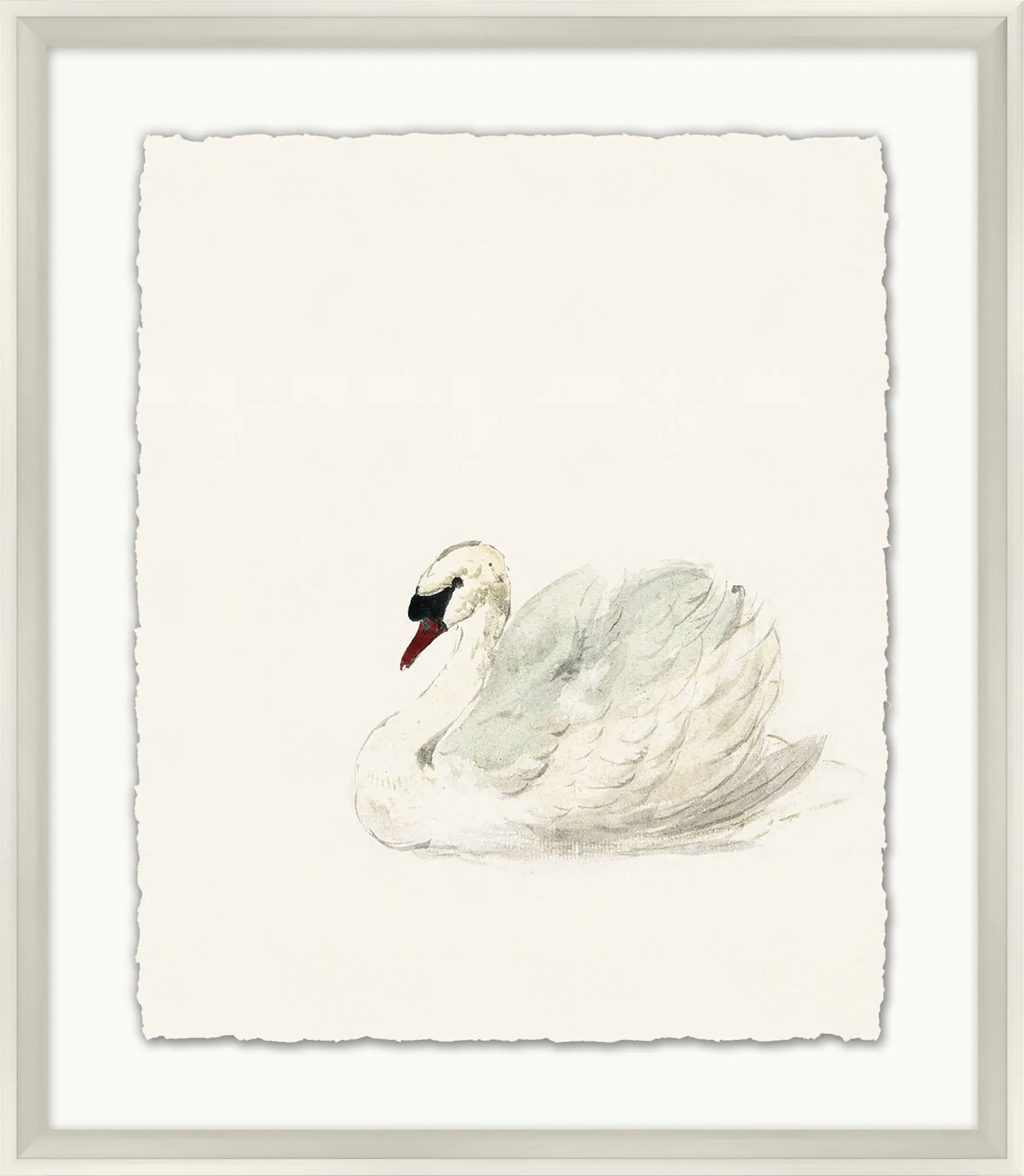 Suzanne Swan - Image 2