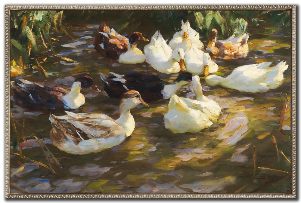 White Ducks in the Pond  WBG25554 - Image 1