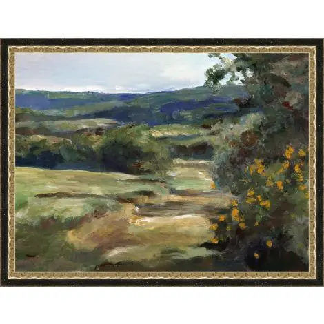 Provence Countryside