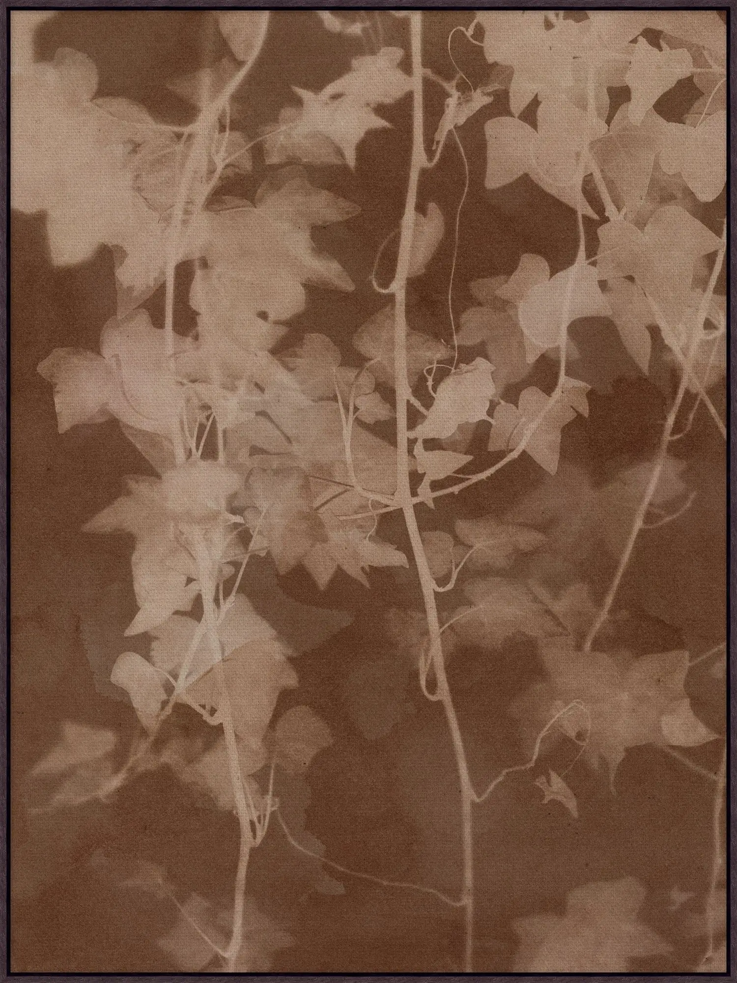 Shady Oak - Image 1