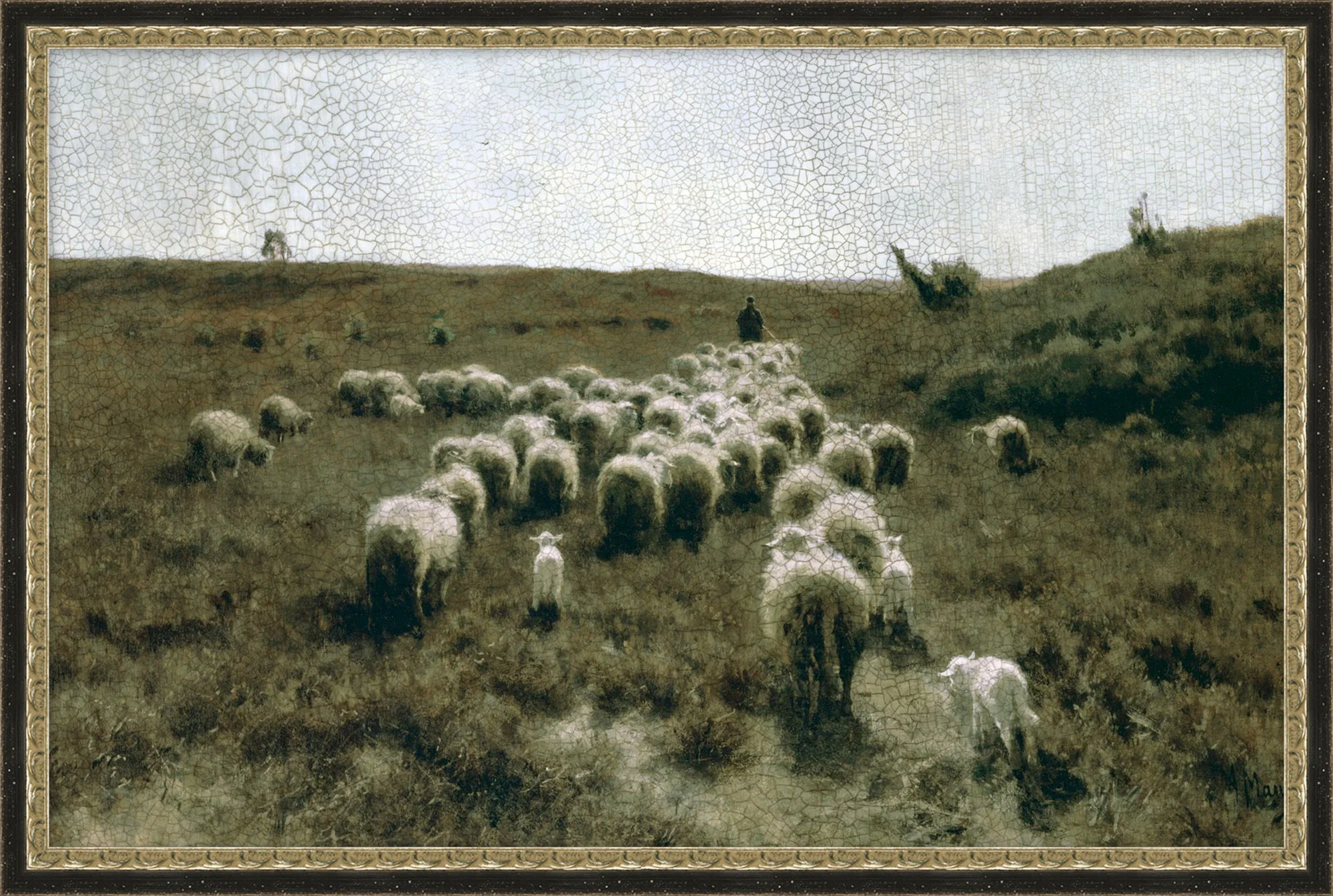 Countryside Flock - Image 3