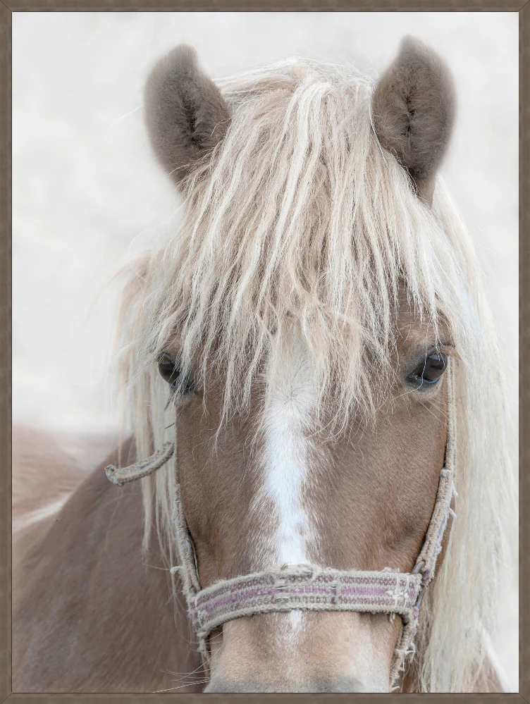 Whispered Mane - Image 1